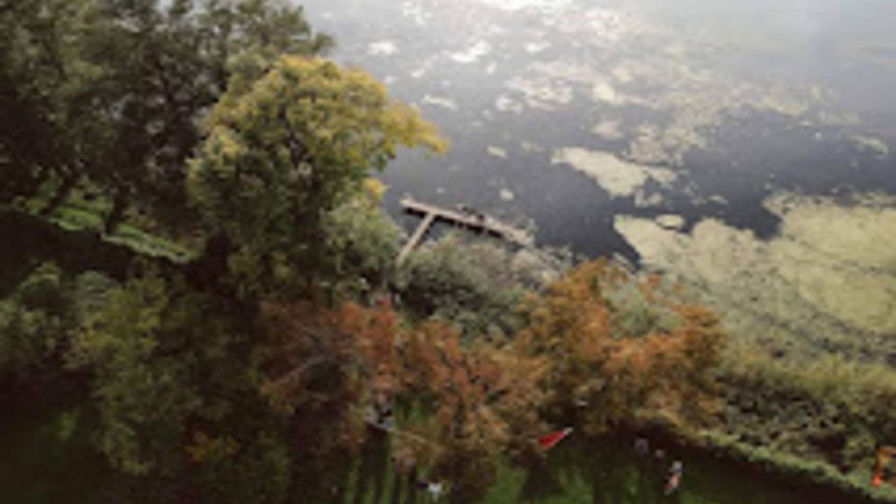 AreaSummer5KM AreaSummer5KM